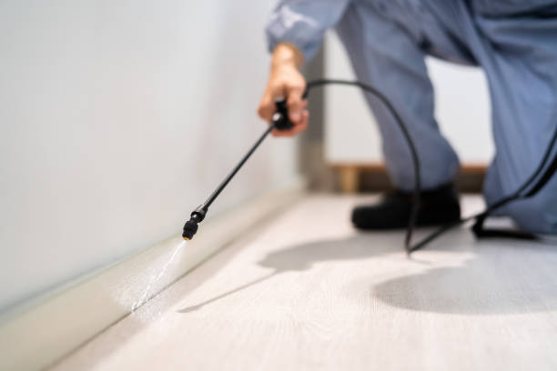 Licensed Ant Control service in Quantico Base, VA - Nex Pest Control