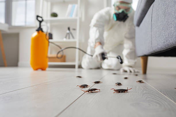 Affordable Ant Control solutions in Quantico Base, VA